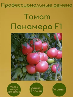 Томат Панамера F1 10 семян профессиональные семена Clause 250558052 купить за 379 ₽ в интернет-магазине Wildberries