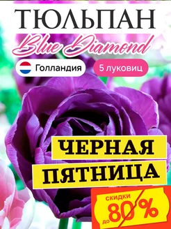 Тюльпаны луковицы Blue Diamond 5 штук