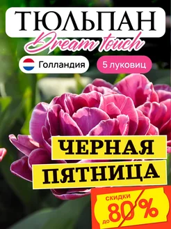 Тюльпаны луковицы Dream touch многолетние