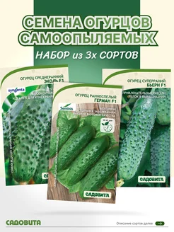 Семена огурцов самоопыляемые