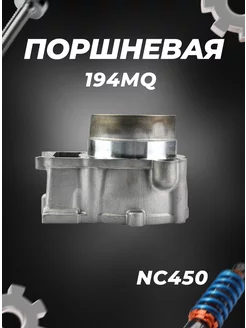 ЦПГ (поршневая) 194MQ (NC450) (131 131,8 70.7 20) ZS