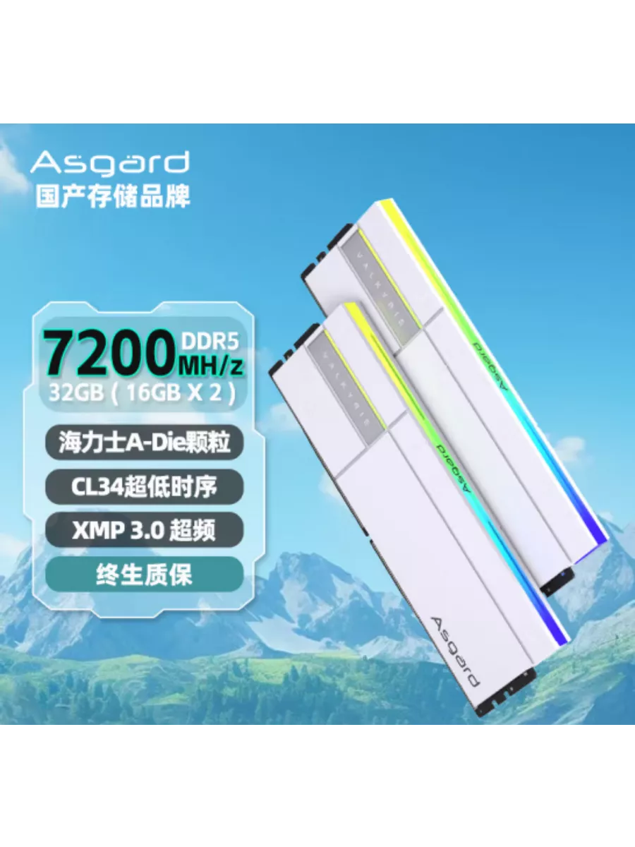 Asgard Valkyrie II DDR5 6000MHz CL28 32g PCパーツ Asgard Valkyrie