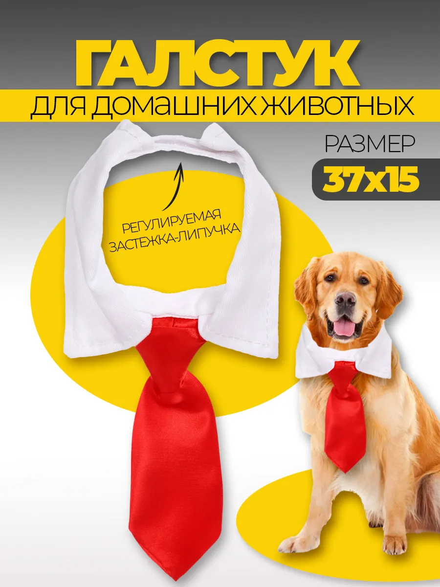 Ошейник с галстуком для животных