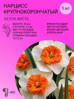 Нарцисс крупнокорончатый, многолетние луковичные цветы, 5 шт Цветочная Фея 251059122 купить за 340 ₽ в интернет-магазине Wildberries