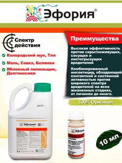 Инсектицид Эфория от вредителей PharmAgro 251182905 купить за 142 ₽ в интернет-магазине Wildberries