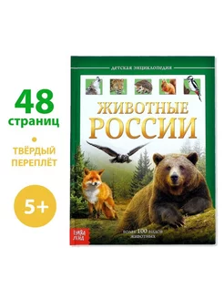 Энциклопедия для детей "Животные России" 48 стр