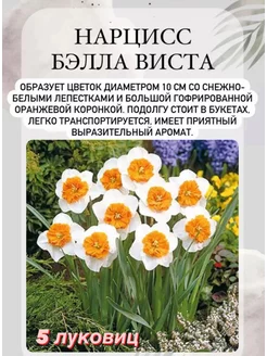 Нарцисс луковицы многолетних цветов Сердце сада 251292929 купить за 340 ₽ в интернет-магазине Wildberries