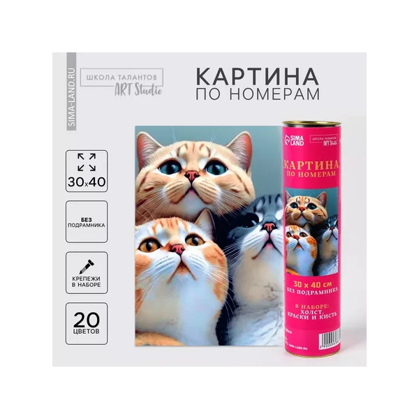 Картина по номерам в тубусе "Котята", 30 х 40 см 9688705
