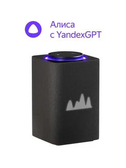 Умная колонка Станция Макс с Zigbee YNDX-00053K Graphite Яндекс 251321808 купить за 28 349 ₽ в интернет-магазине Wildberries