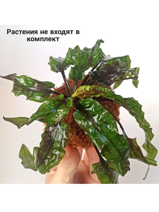 Питательная кочка, горшок для аквариумных растений. 2 шт, 2 шт, фото 3