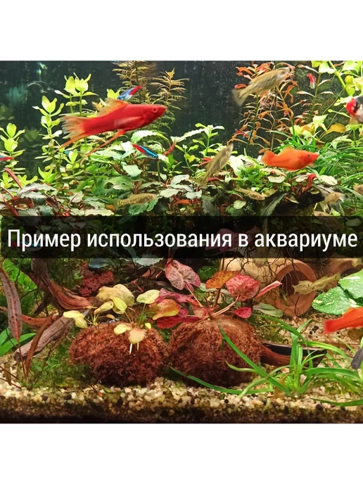 Питательная кочка, горшок для аквариумных растений. 2 шт, 8 шт, фото 2