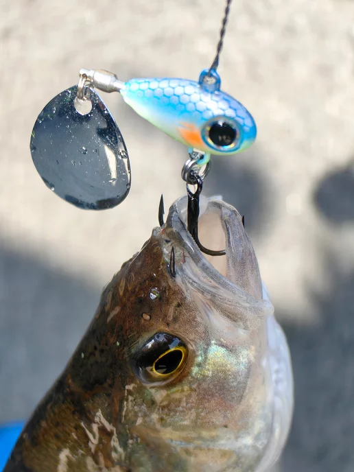 skill catch Набор блесен вертушек для рыбалки тейл-спиннер 10г, 10 г, фото 2