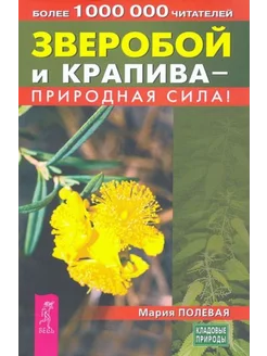 Мария Полевая Зверобой и крапива - природная сила