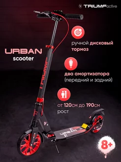 Самокат двухколесный Triumf Active 251499259 купить за 6 339 ₽ в интернет-магазине Wildberries