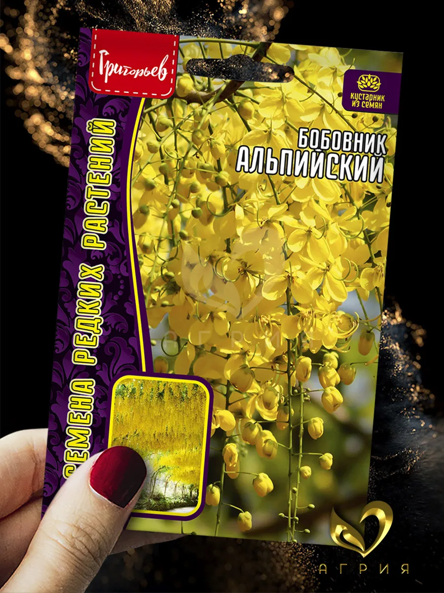 Семена Бобовник Альпийский