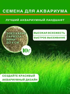 Семена растений для аквариума "Элеохарис Парвула мини" Bee Happy 251565201 купить за 531 ₽ в интернет-магазине Wildberries