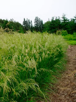 Sokinish bilan shaxsiy jinsiy aloqa video Voyaga etgan ona porno onlayn