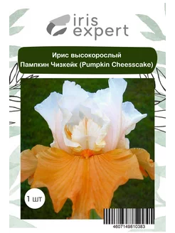 Ирис высокорослый Пампкин Чизкейк (Pumpkin Cheesecake), 1 шт IrisExpert 251747322 купить за 224 ₽ в интернет-магазине Wildberries