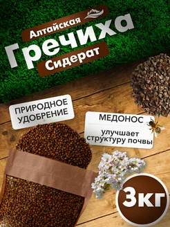 Гречиха семена 3 кг Вкусы природы 251783899 купить за 263 ₽ в интернет-магазине Wildberries