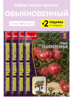 Семена Гранат Обыкновенный Вырасти дома 251788604 купить за 237 ₽ в интернет-магазине Wildberries