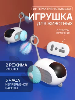 Игрушка интерактивная для кошек умная дразнилка