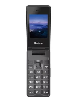 Мобильный телефон Xenium X600 Dark Gray Xenium 251921417 купить за 2 445 ₽ в интернет-магазине Wildberries