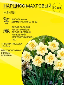 Нарцисс махровый, луковицы 10 шт Галерея Цветов 251943137 купить за 382 ₽ в интернет-магазине Wildberries