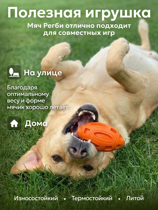Усатый Рекс Мяч для собак прочный, суперпрочный, оранжевый, фото 4