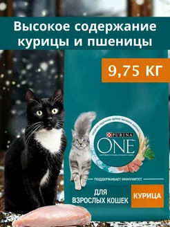 Сухой корм для взрослых кошек,с курицей 9,75 кг PURINA ONE 252144851 купить за 3 864 ₽ в интернет-магазине Wildberries