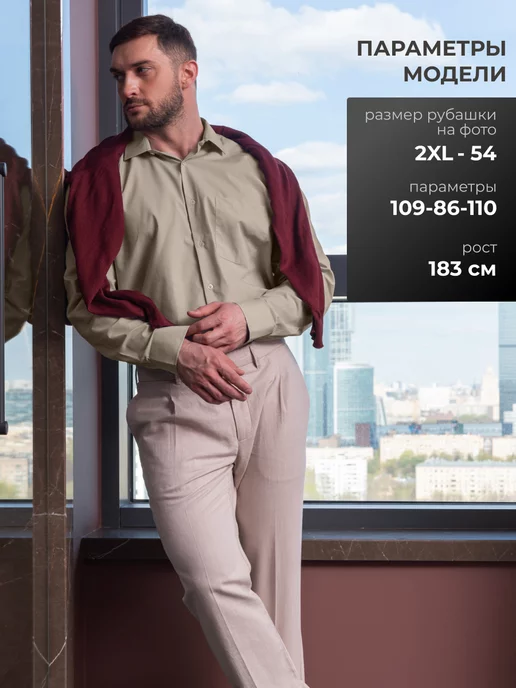 OSSBORN WEAR Рубашка классическая с длинным рукавом, бежевый, фото 4