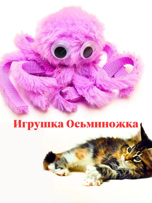 ΠΠ³ΡΡΡΠΊΠ° Π΄Π»Ρ ΠΊΠΎΡΠ΅ΠΊ Π΄ΡΠ°Π·Π½ΠΈΠ»ΠΊΠ° ΠΌΡΠ³ΠΊΠ°Ρ Ρ ΠΌΡΡΠΎΠΉ ΠΠ³ΡΡΡΠΊΠ° Π΄Π»Ρ ΠΊΠΎΡΠ΅ΠΊ Π΄ΡΠ°Π·Π½ΠΈΠ»ΠΊΠ° ΠΌΡΠ³ΠΊΠ°Ρ Ρ ΠΌΡΡΠΎΠΉ image