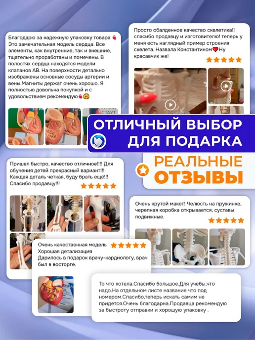 БИОКЛАСС Анатомическая модель грыжи поясничного диска 1 1, вариант, фото 5