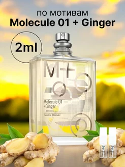 Духи molecule 01 + ginger масляные стойкие