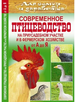 Современное птицеводство на приусадебном участке