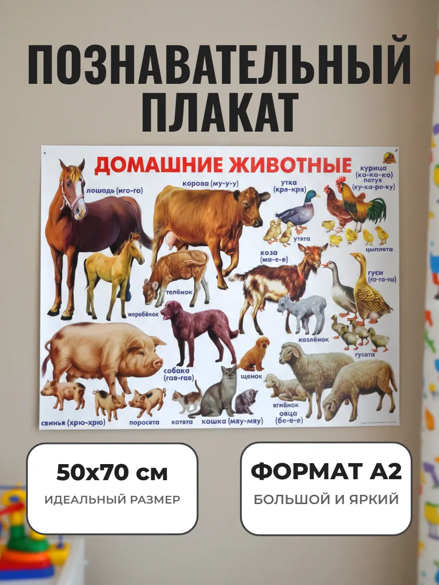 Развивающий плакат А2. Домашние животные