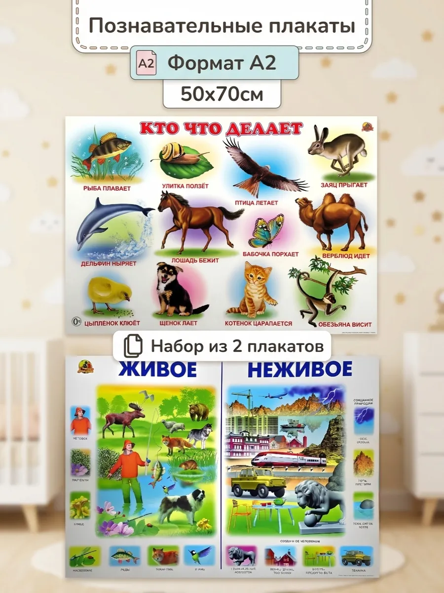 Плакат Живое неживое и Кто что делает комплект