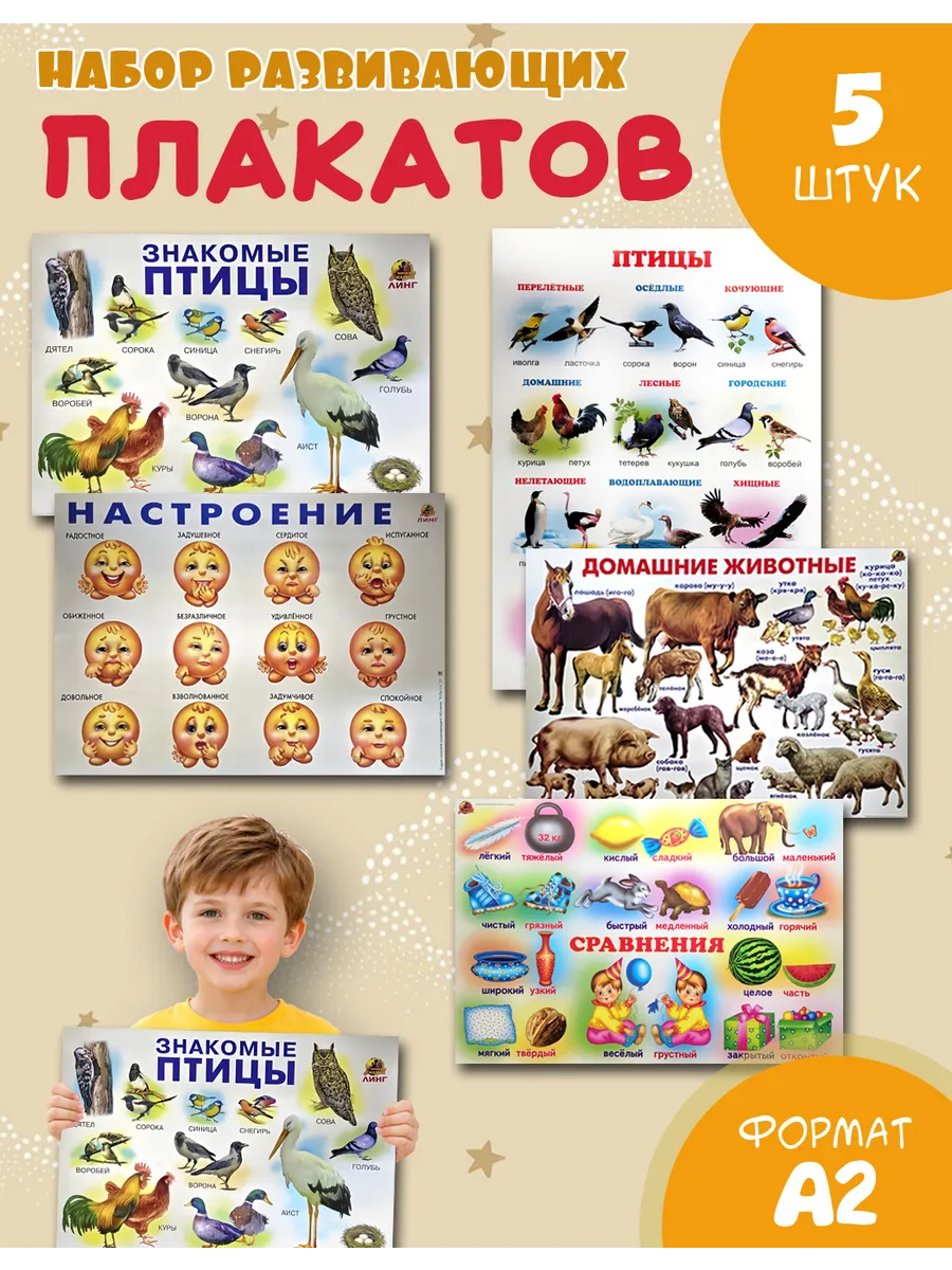 Обучающие учебные плакаты для детского сада набор 5шт A2