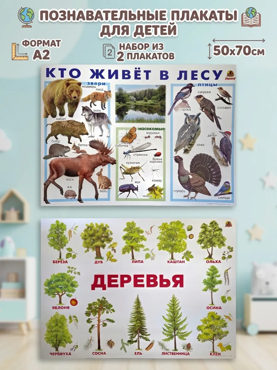 Набор плакатов для детей деревья и животные леса