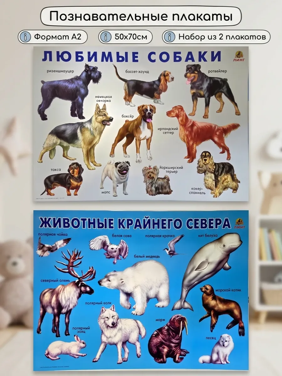 Плакат Животные комплект 2 шт