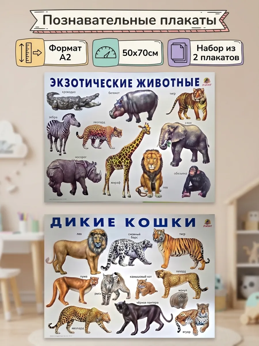 Дикие животные плакаты для детей