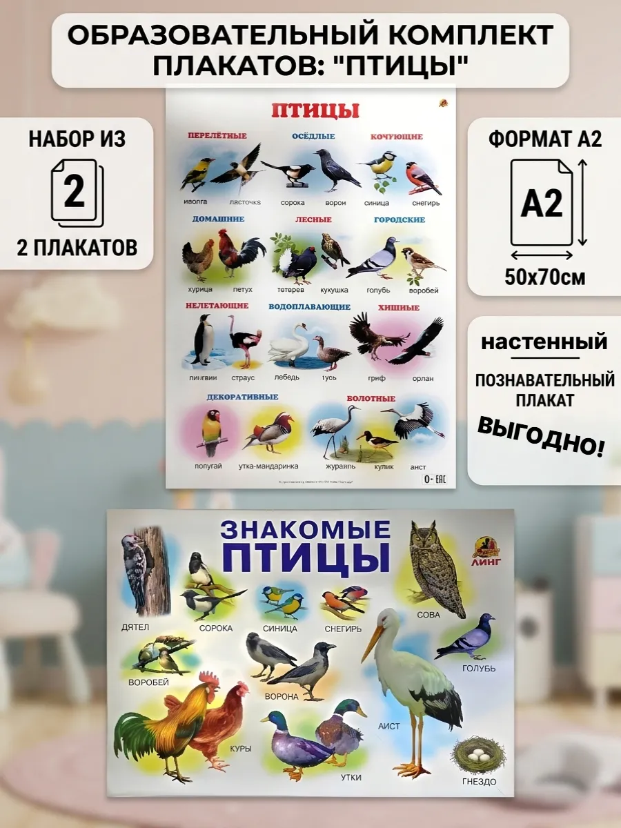 Плакаты птицы настенные для детей обучающий набор