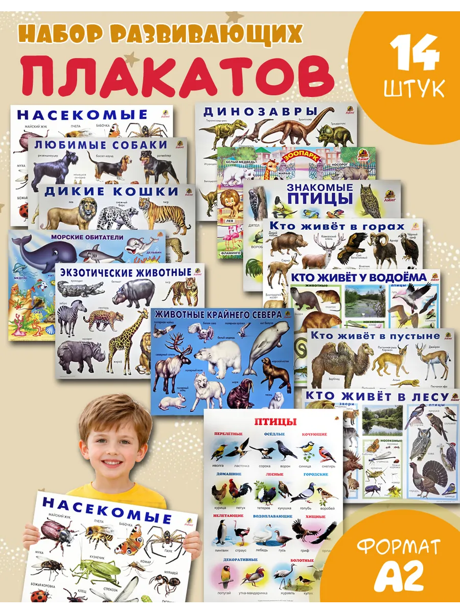 Обучающие учебные плакаты для детского сада набор 14шт A2
