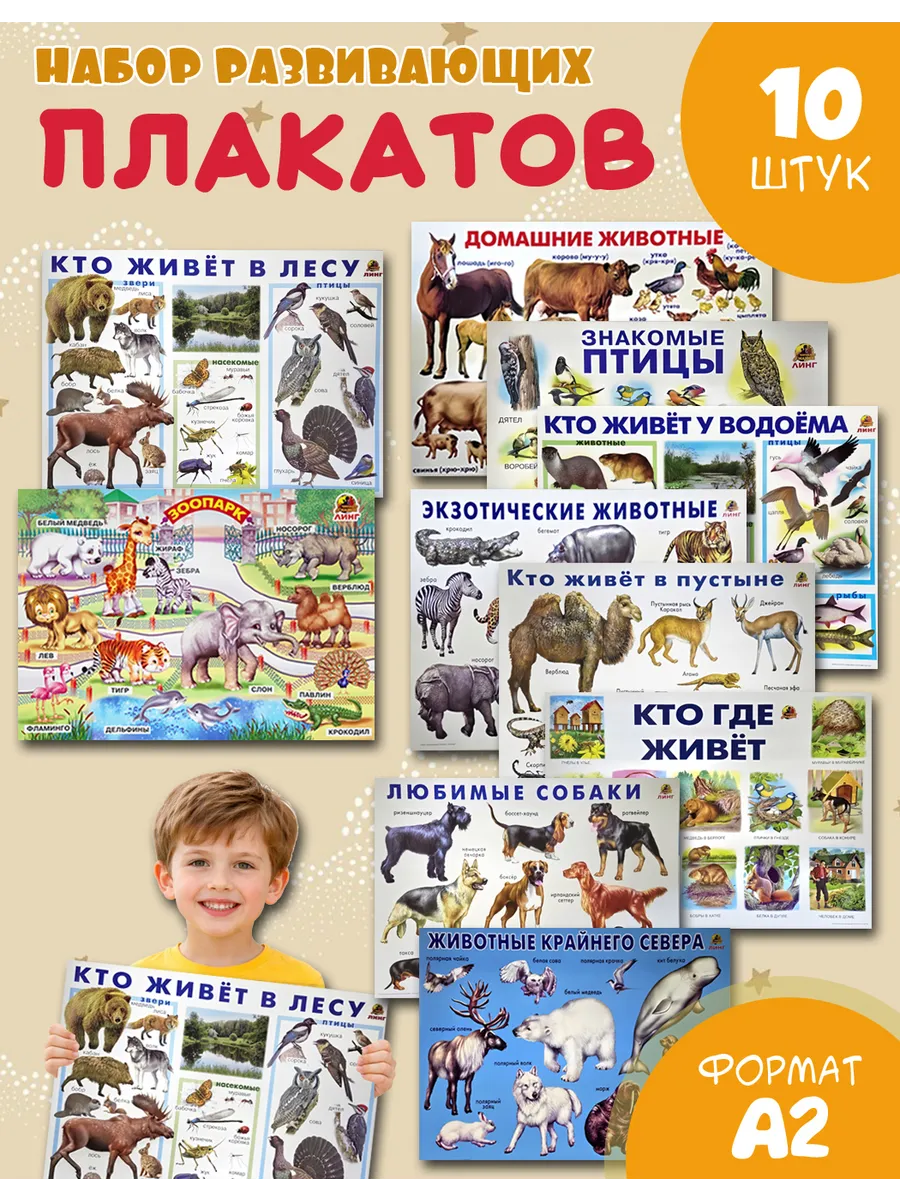 Обучающие учебные плакаты для детского сада набор 10шт A2