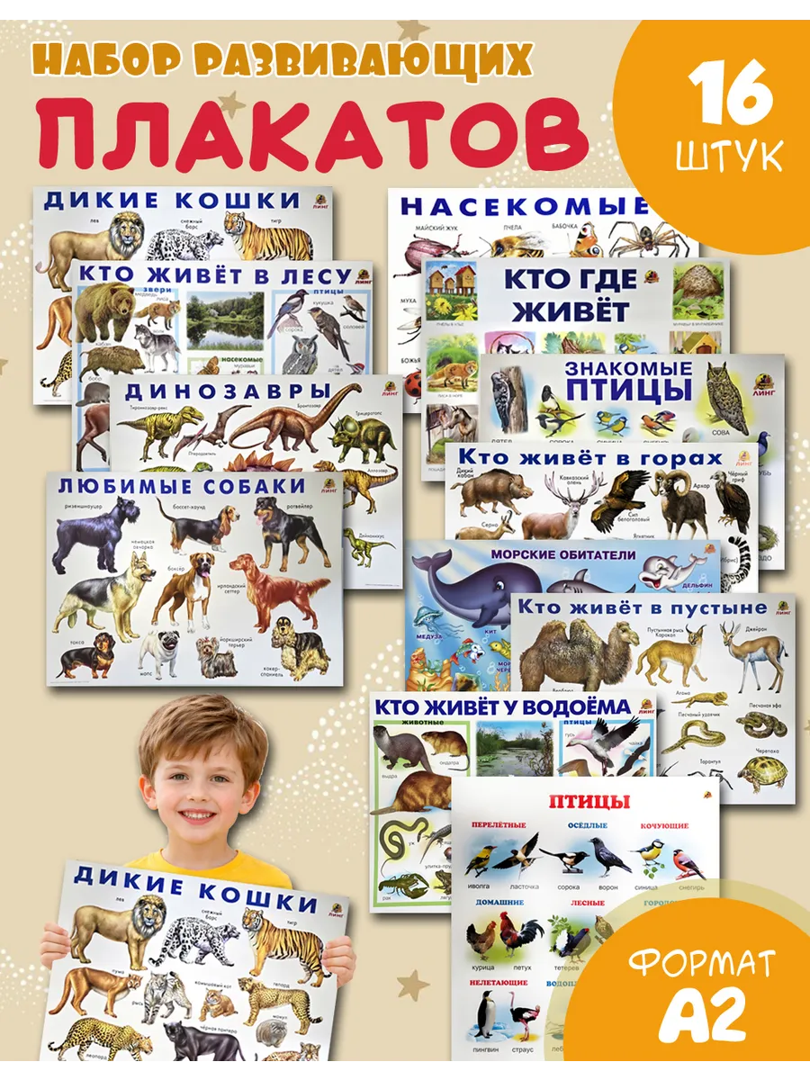 Обучающие учебные плакаты для детского сада набор 16шт A2