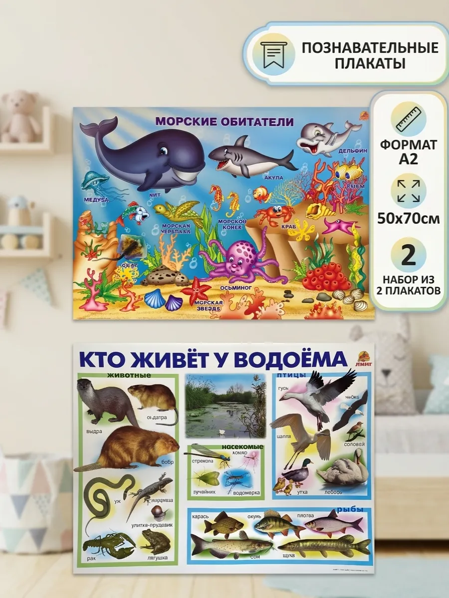 Плакаты Водный мир и его обитатели