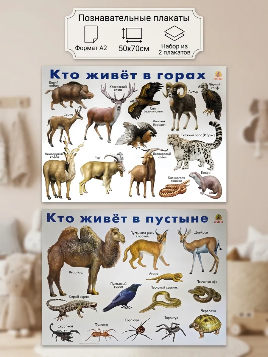 Плакаты Животные гор и пустыни комплект