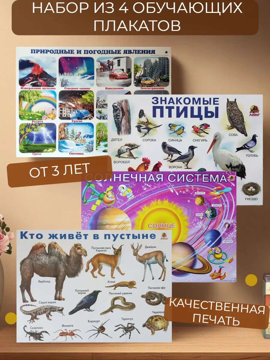 Набор обучающих плакатов для животные птицы природа
