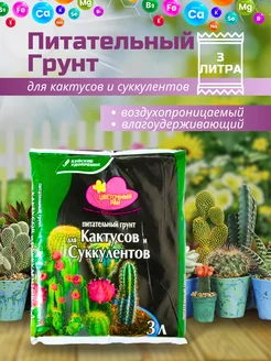 Грунт Цветочный Рай для Кактусов и Суккулентов 3л Цветочный рай 252442982 купить за 140 ₽ в интернет-магазине Wildberries