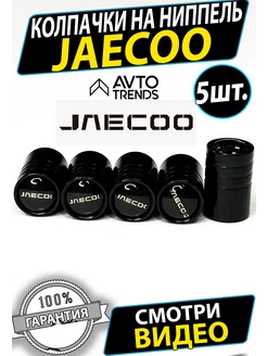 Колпачки на ниппель шины вентиль Jaecoo