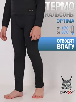 Термобрюки спортивные с начесом зима Optima